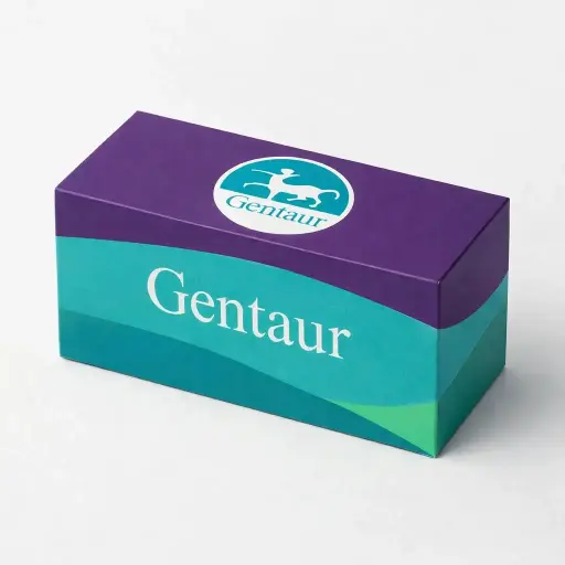 Attoglow Western Blot Analysis Kit:Binding Buffer 20x