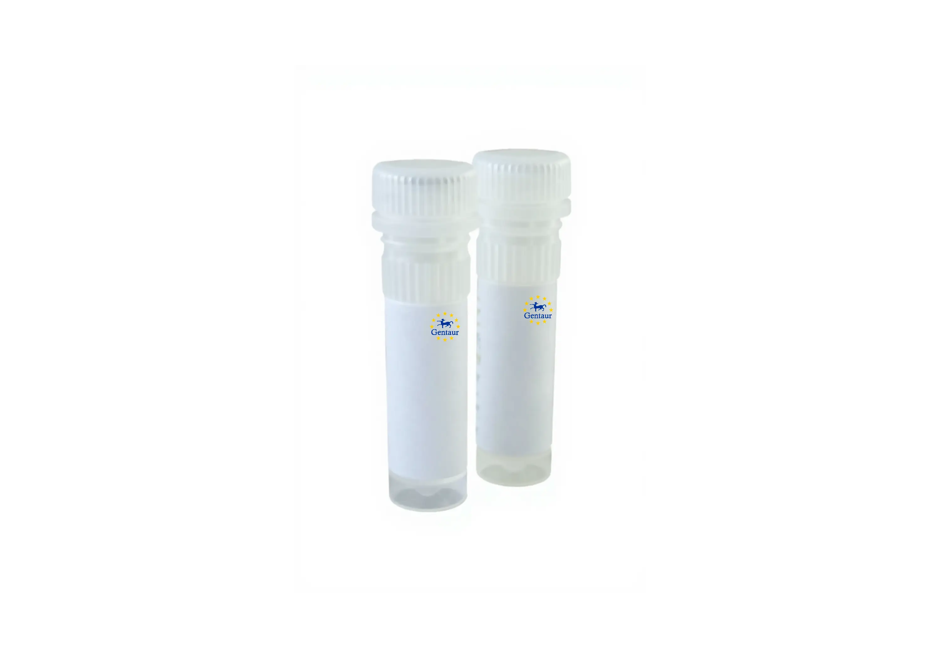  hot start taq polymerase 4 x 50 l mgcl2 5x hs reaction buffer 8 x 1ml pack size concentration 4 x 250 units 5u l