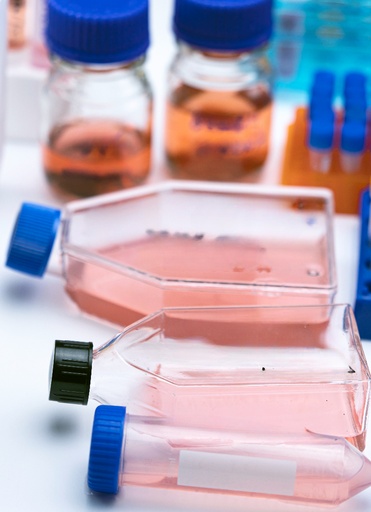 [GEN - CSI003Ra01-500k] Primary AC Cell, Rat